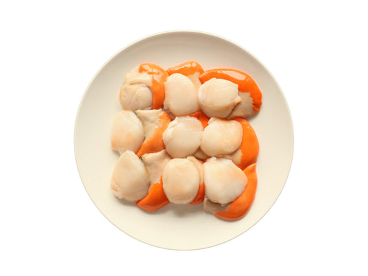 Premium Sashimi-Grade XXL Irish Scallop (Roe-on)｜500g Box