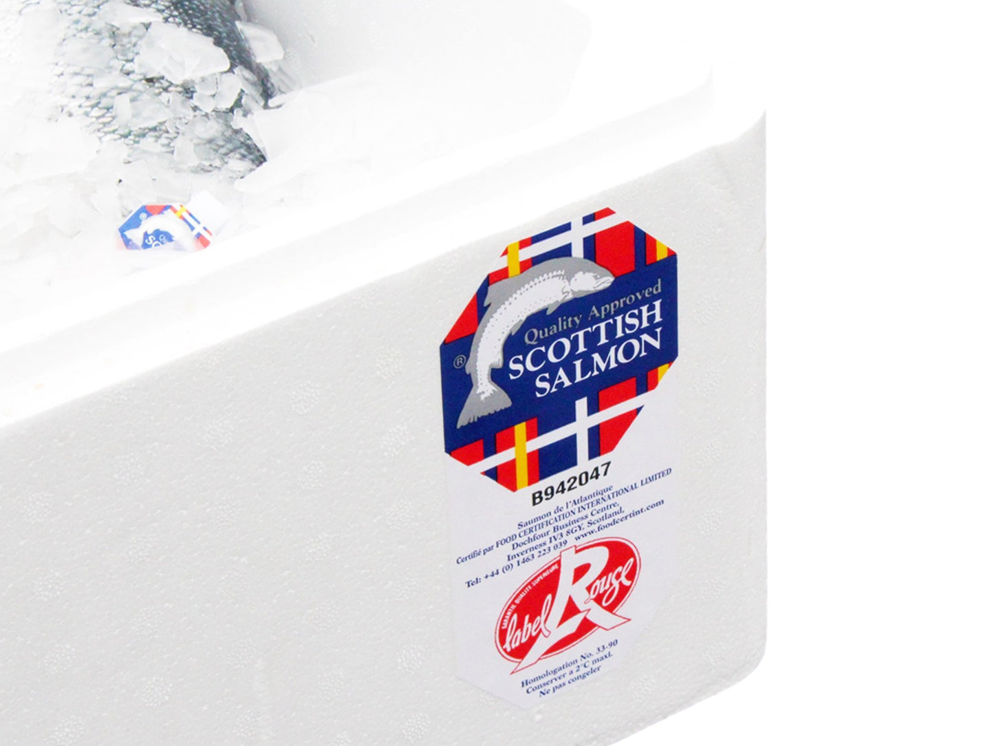 Premium Sashimi-Grade Scottish Salmon | Gutted Whole Fish (6-7kg)