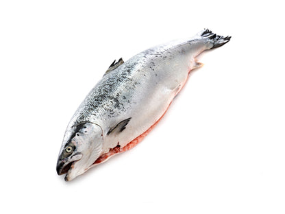 Premium Sashimi-Grade Scottish Salmon | 1/2 Gutted Whole Fish (3-4kg)