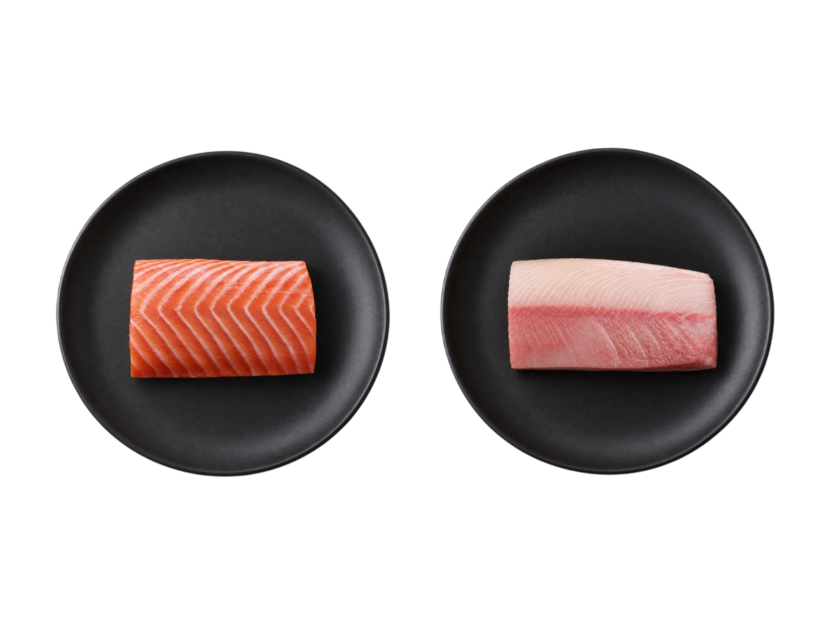 Salmon Back Loin + Kingfish｜Snappy Combo