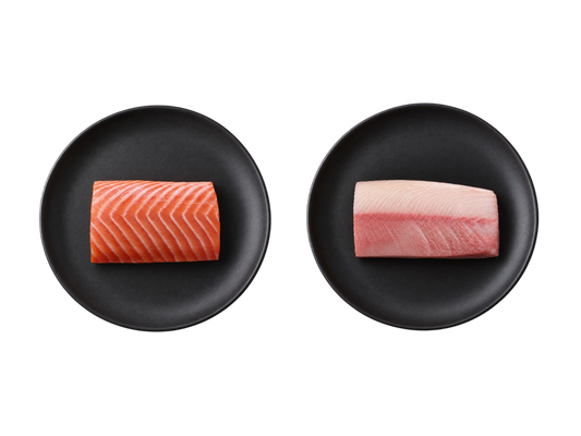 Salmon Back Loin + Kingfish｜Snappy Combo