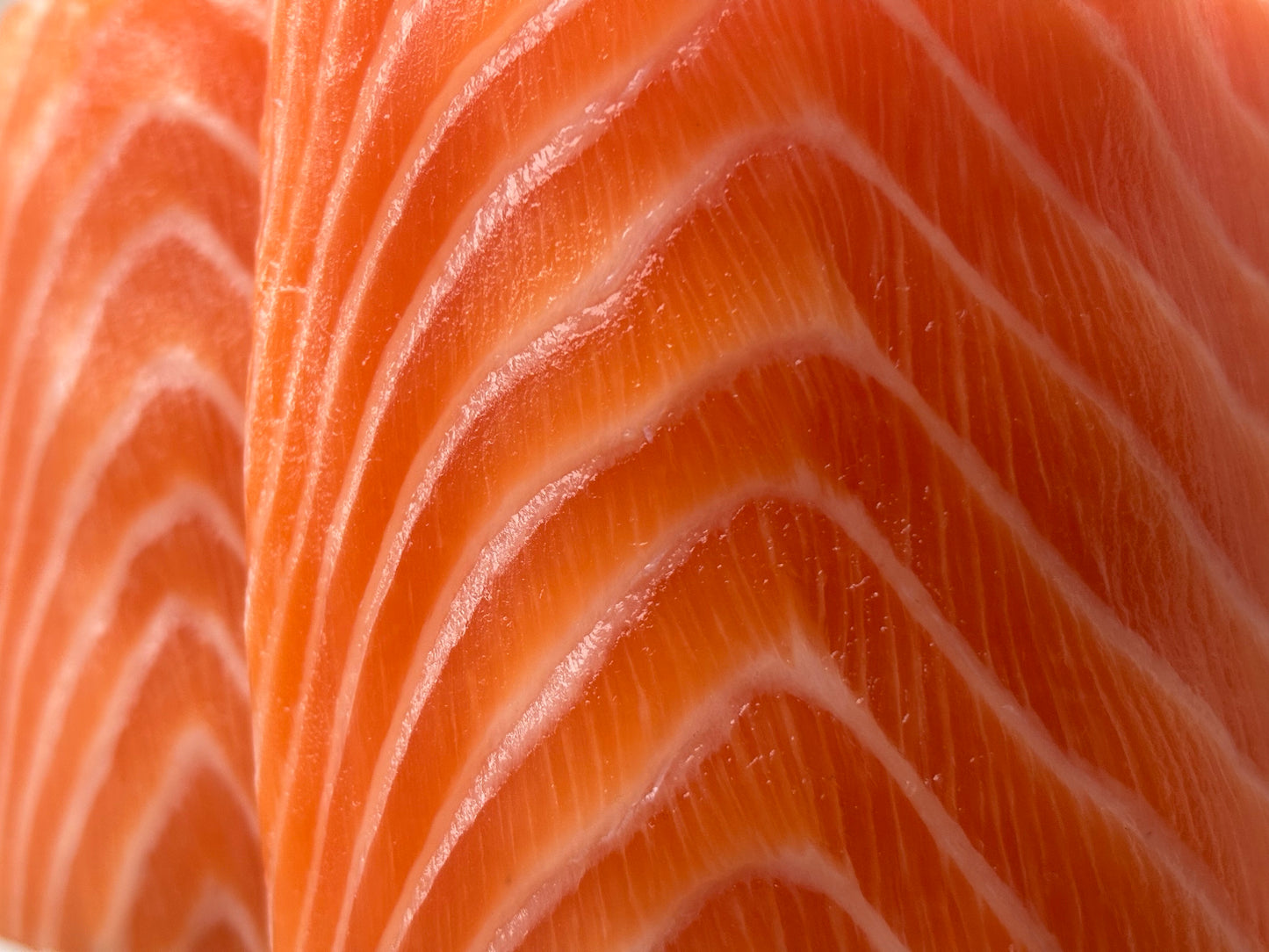 Premium Sashimi-Grade Scottish Salmon | Gutted Whole Fish (6-7kg)
